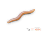 Gumihal Delphin B! StinxWORM Cheese / 50db