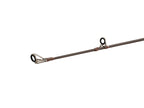 Delphin QUEST B´CAST