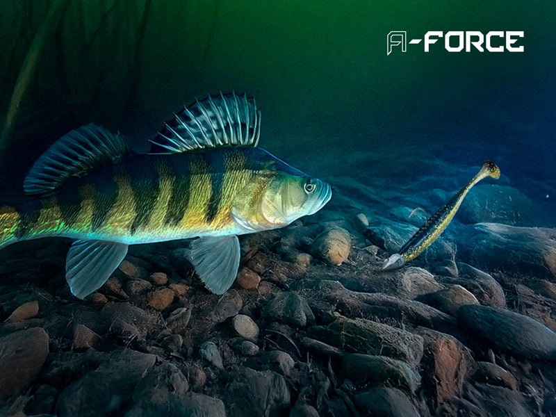 Grub-tartóval ellátott Delphin A-FORCE jigfej / 5 db