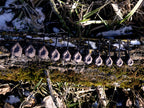 Delphin CyberBARBED TUBE ólomsúly