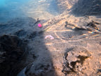 Delphin CyberBARBED TUBE ólomsúly