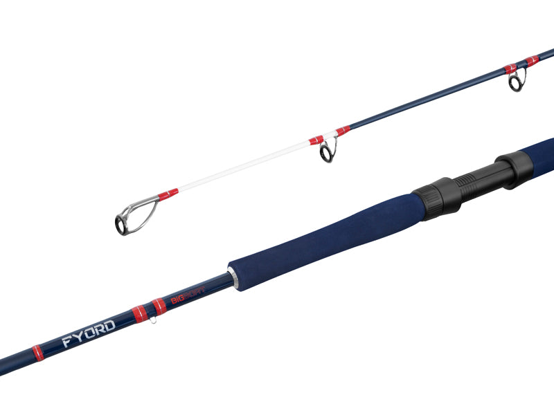 Delphin FYORD BigBOAT