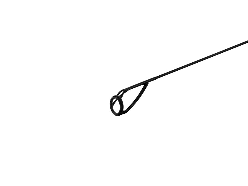 Delphin TORRAX