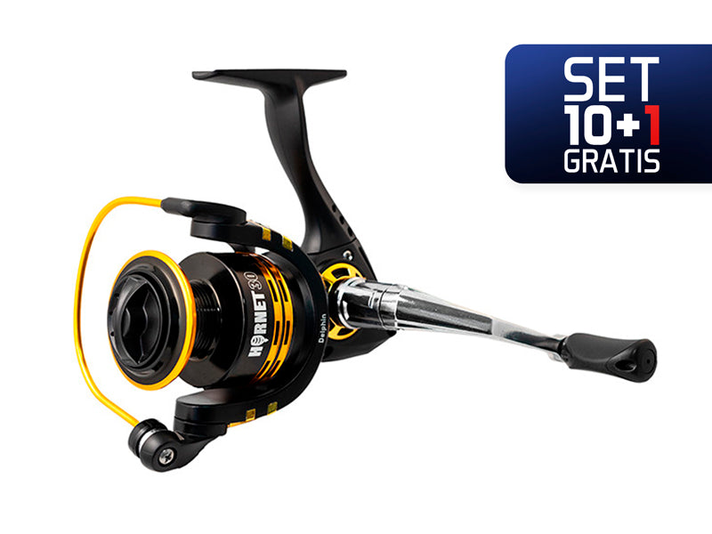 10+1 - Delphin HORNET 50 / 3+1