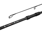 Delphin CASTIX