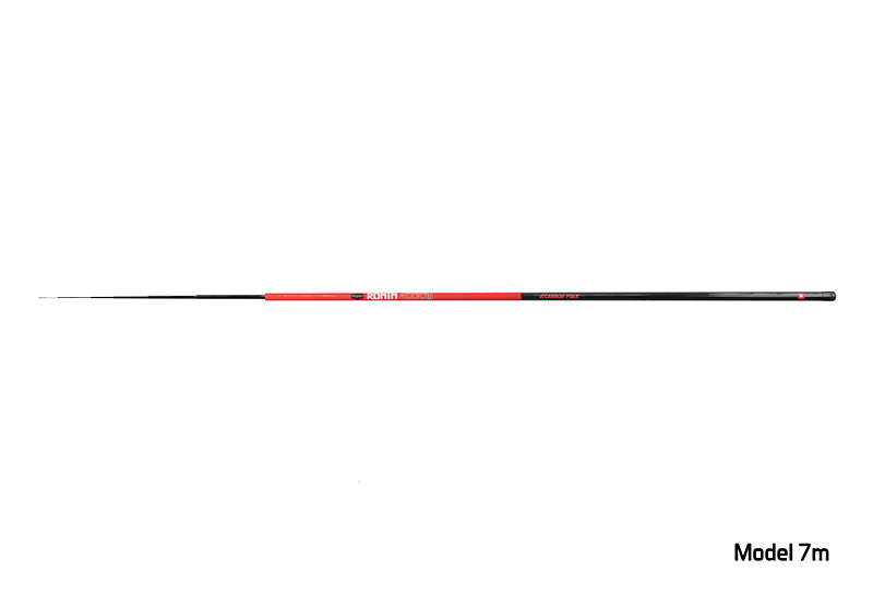 Delphin RONIN