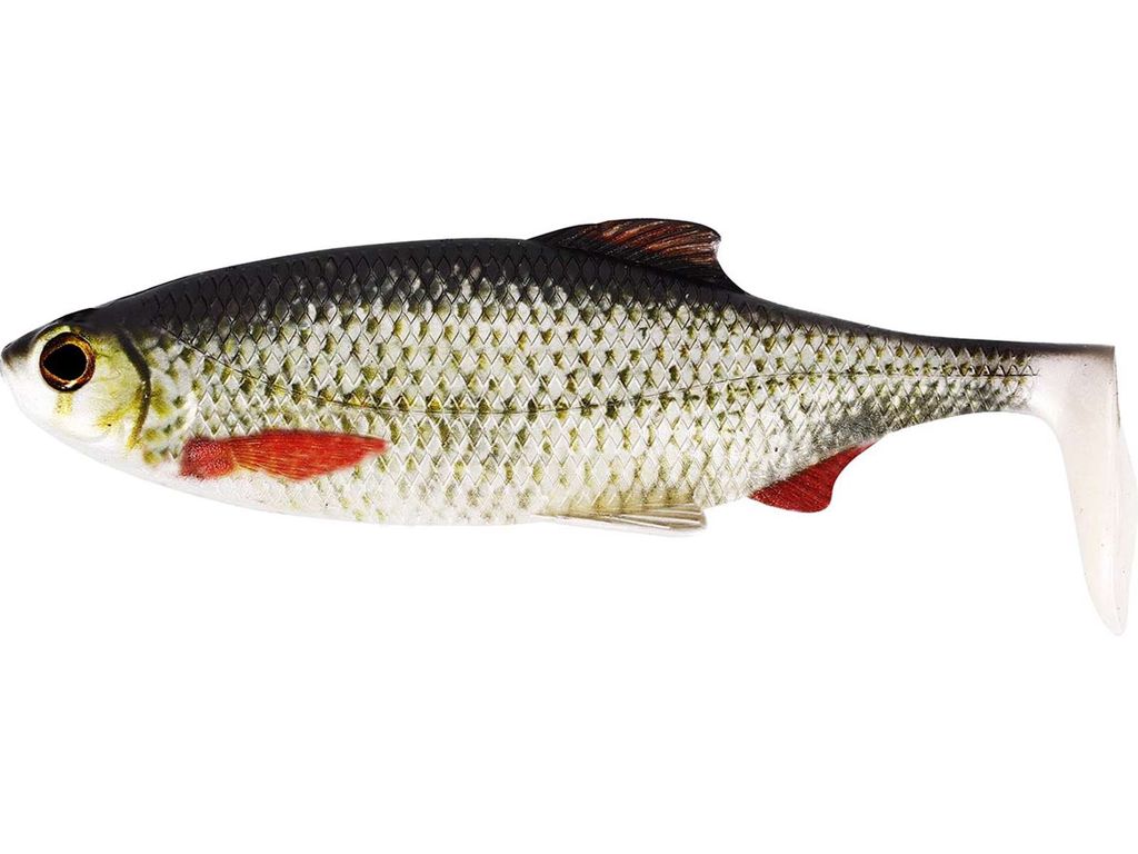 Ricky the Roach Shadtail 18cm 85g Real Roach 1pc