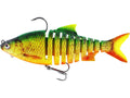 Ricky the Roach Multi Jointed R2F 14cm 41g Firetiger Rudd 1pc